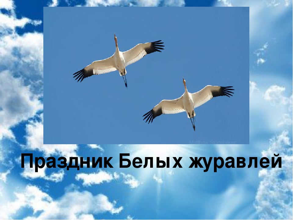 Презентация песни журавли